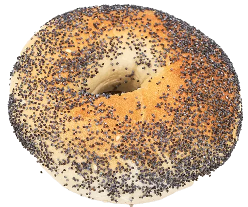 The Poppy Seed Bagel